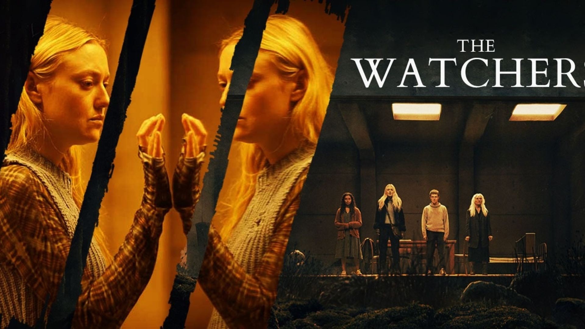 The Watchers